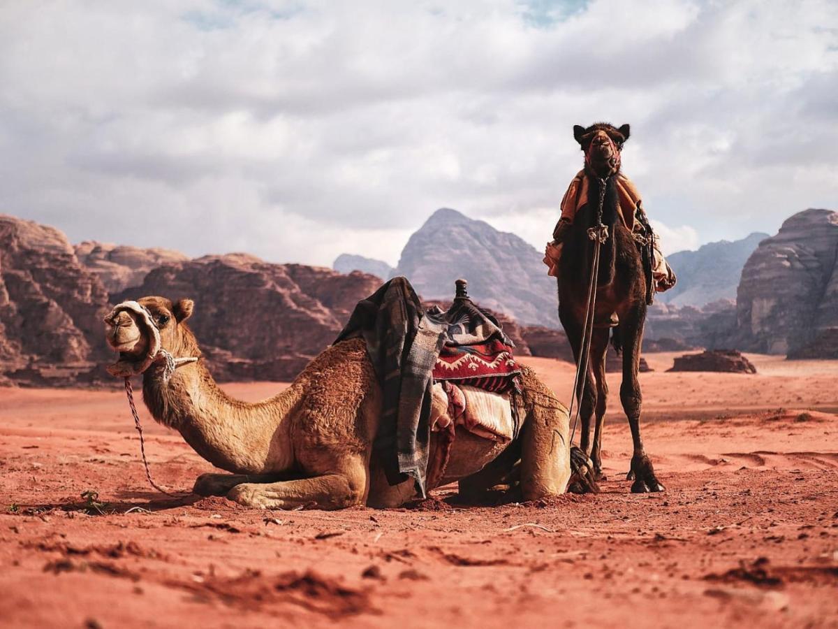 Wadi Rum Nights Eksteriør bilde